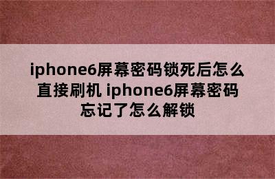 iphone6屏幕密码锁死后怎么直接刷机 iphone6屏幕密码忘记了怎么解锁